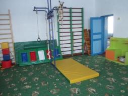 Спортивный зал специально оборудован для занятия спортом детей дошкольного возраста в том числе детей с ОВЗ.